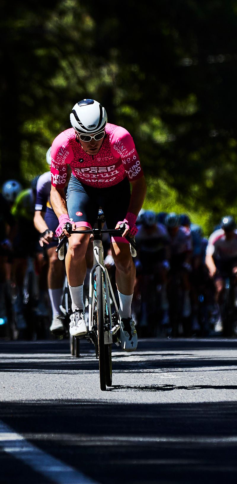 Terún Cycling photo