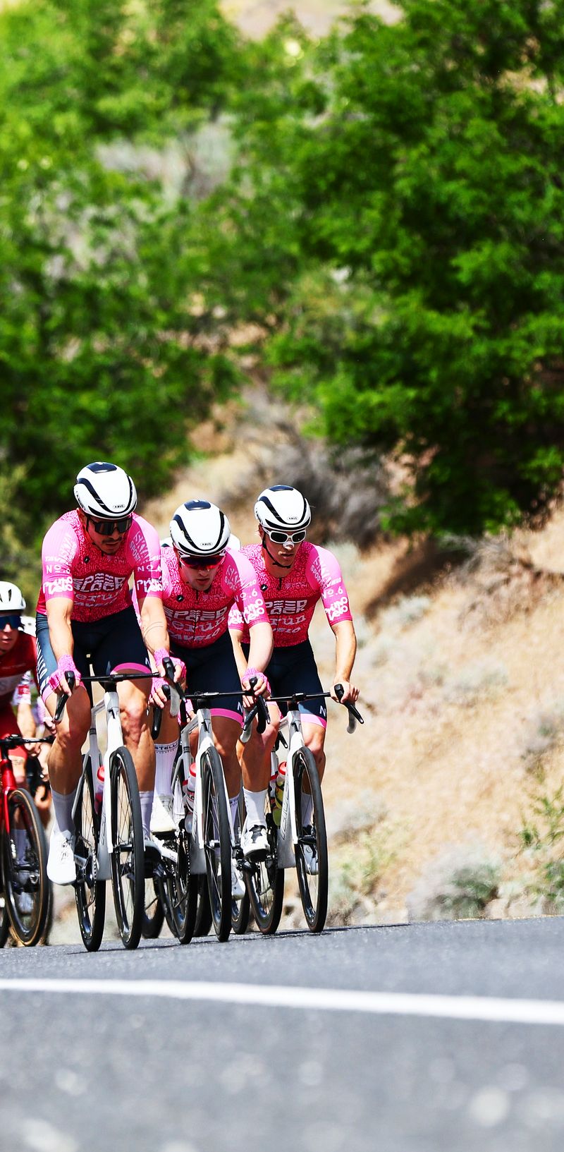 Terún Cycling photo