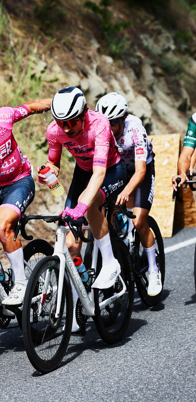 Terún Cycling photo